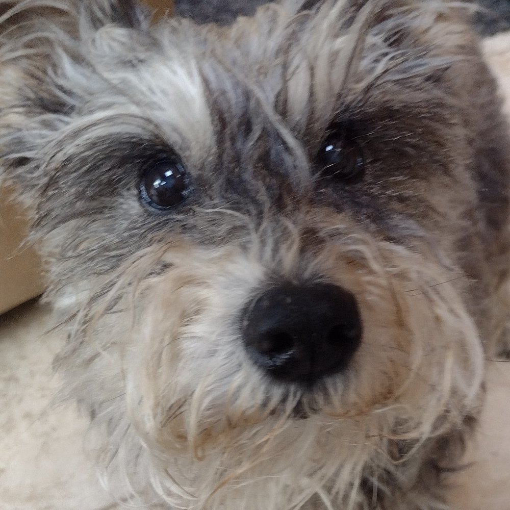 Meet your Posher, Kerri